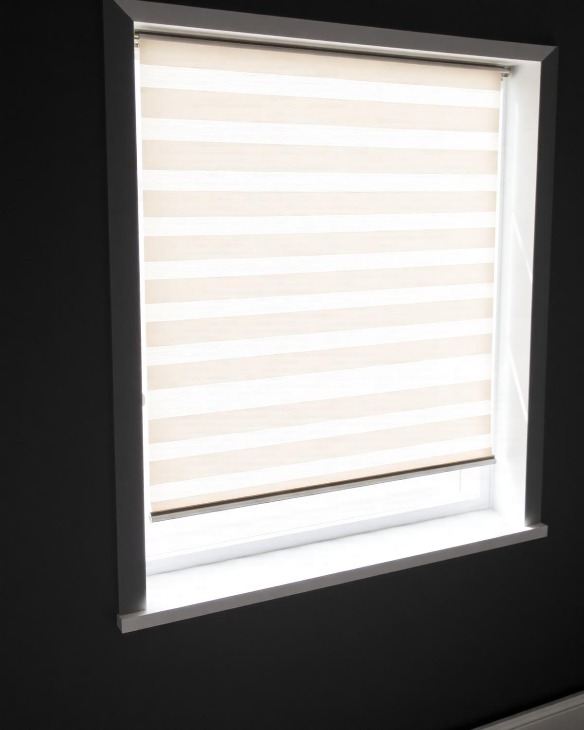 Zebra Blinds